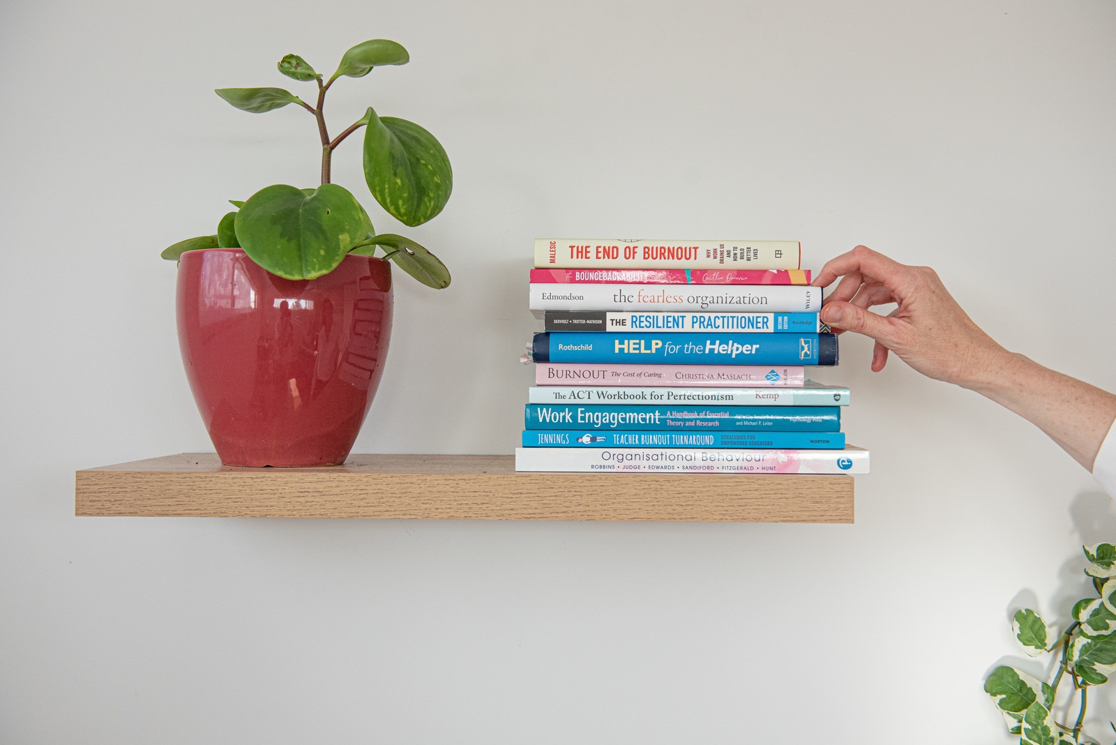 A pot plant next to a stack of books about burnout and wellbeing on a shelf